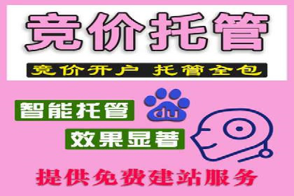 教育行业SEM服务的投放策略及效果展示